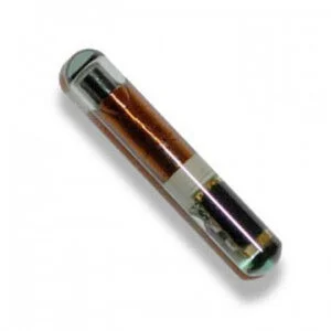 4D60 VIDRIO TP06